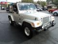 2005 Bright Silver Metallic Jeep Wrangler X 4x4  photo #4