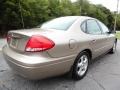 2004 Gold Ash Metallic Ford Taurus SE Sedan  photo #3