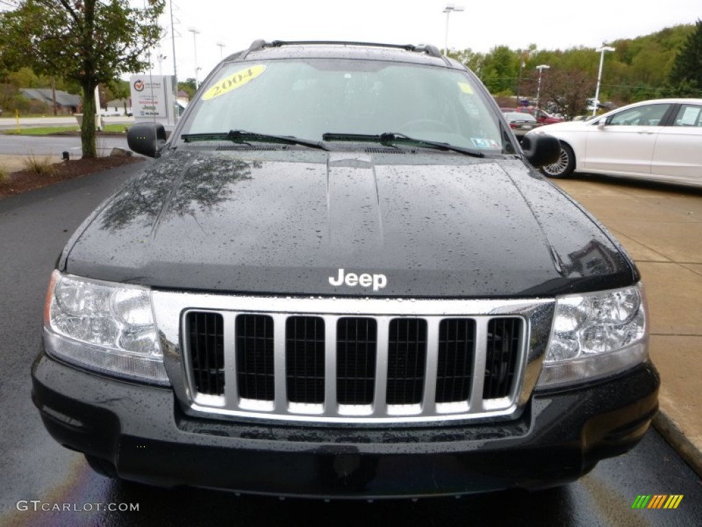 2004 Grand Cherokee Limited 4x4 - Brillant Black Crystal Pearl / Dark Slate Gray photo #7