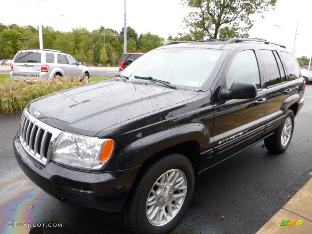 2004 Grand Cherokee Limited 4x4 - Brillant Black Crystal Pearl / Dark Slate Gray photo #8