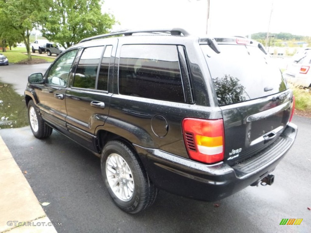 2004 Grand Cherokee Limited 4x4 - Brillant Black Crystal Pearl / Dark Slate Gray photo #10