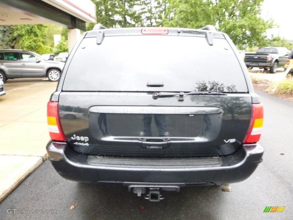 2004 Grand Cherokee Limited 4x4 - Brillant Black Crystal Pearl / Dark Slate Gray photo #11