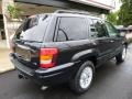 2004 Brillant Black Crystal Pearl Jeep Grand Cherokee Limited 4x4  photo #12