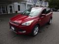 2016 Ruby Red Metallic Ford Escape SE 4WD  photo #3