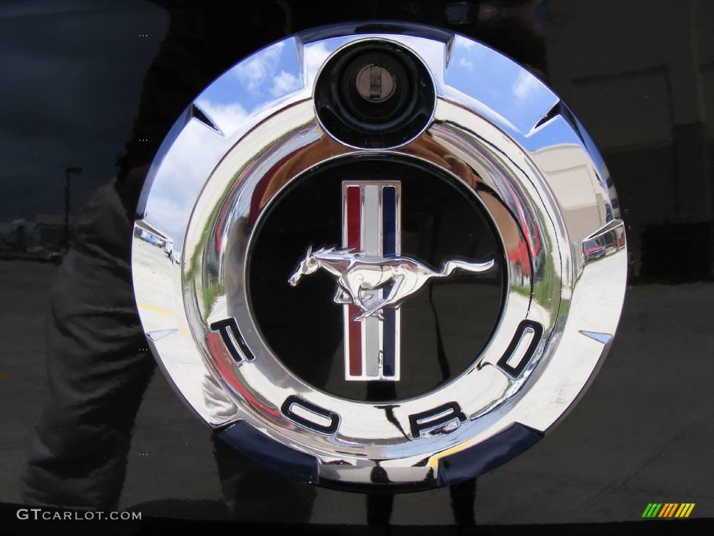 2007 Mustang V6 Deluxe Convertible - Black / Dark Charcoal photo #15