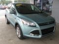 2013 Frosted Glass Metallic Ford Escape SE 2.0L EcoBoost 4WD  photo #1