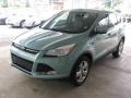 2013 Frosted Glass Metallic Ford Escape SE 2.0L EcoBoost 4WD  photo #24