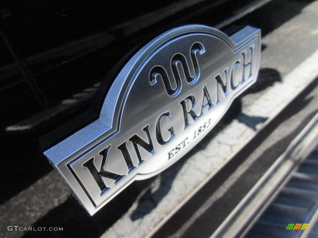2015 F150 King Ranch SuperCrew - Tuxedo Black Metallic / King Ranch Java/Mesa photo #4