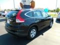 Crystal Black Pearl - CR-V LX Photo No. 9