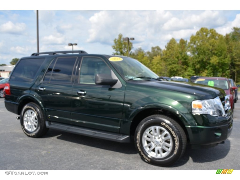 Green Gem Ford Expedition