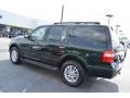 2013 Green Gem Ford Expedition XLT 4x4  photo #5