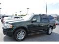 2013 Green Gem Ford Expedition XLT 4x4  photo #7