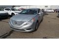 Radiant Silver - Sonata GLS Photo No. 3