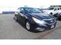 Pacific Blue Pearl - Sonata GLS Photo No. 3