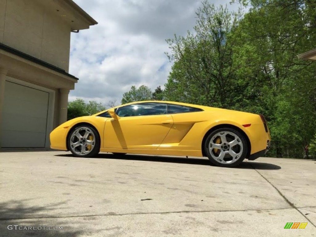2005 Gallardo Coupe - Giallo Halys (Yellow) / Nero Perseus photo #2