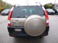 Sahara Sand Metallic - CR-V EX 4WD Photo No. 4