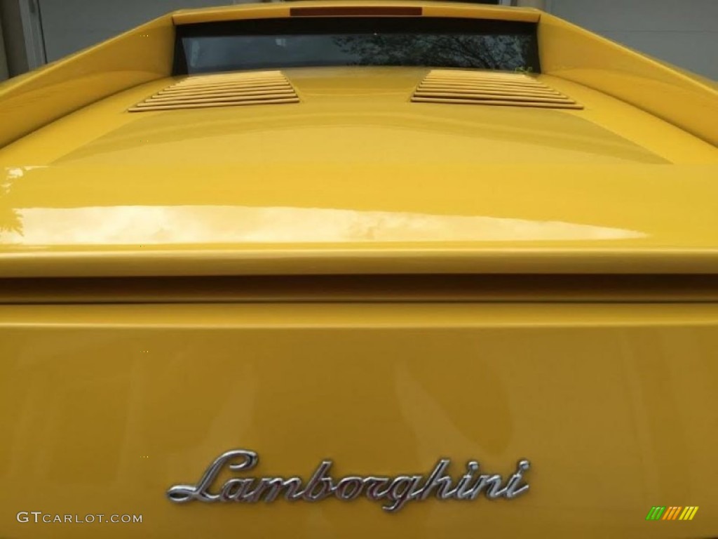 2005 Gallardo Coupe - Giallo Halys (Yellow) / Nero Perseus photo #11