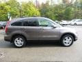 2010 Urban Titanium Metallic Honda CR-V EX-L AWD  photo #6