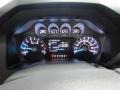 Shadow Black - F350 Super Duty Platinum Crew Cab 4x4 DRW Photo No. 18