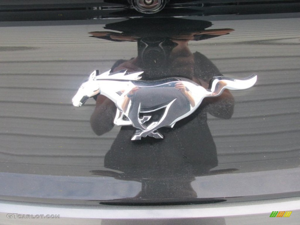 2016 Mustang EcoBoost Premium Coupe - Magnetic Metallic / Ebony photo #14