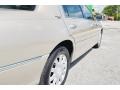 Light French Silk Metallic - Town Car Signature Limited Photo No. 12