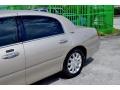 Light French Silk Metallic - Town Car Signature Limited Photo No. 60