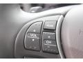 Graphite Luster Metallic - ILX Premium Photo No. 40