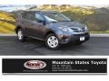Magnetic Gray Metallic - RAV4 LE Photo No. 1