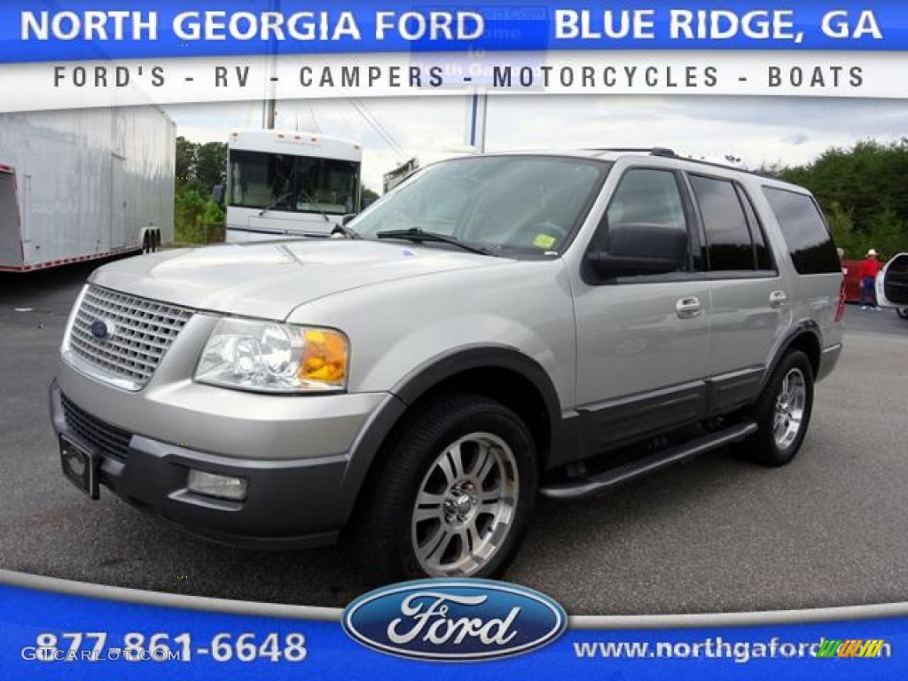 Silver Birch Metallic Ford Expedition