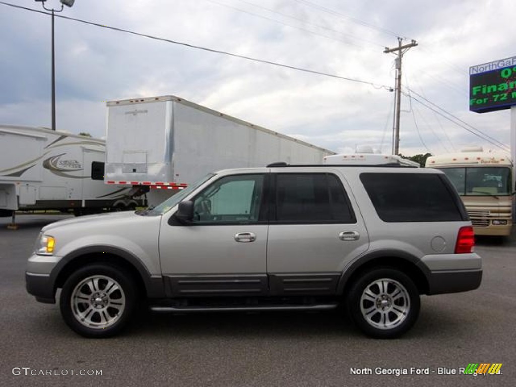 2004 Expedition XLT - Silver Birch Metallic / Medium Flint Gray photo #2