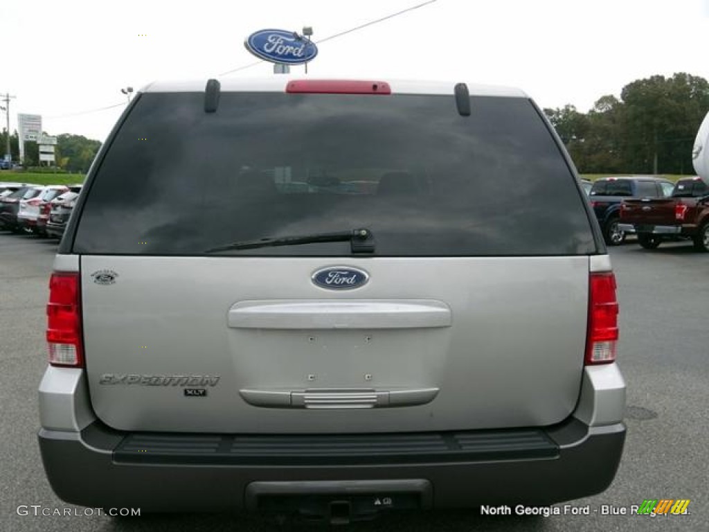2004 Expedition XLT - Silver Birch Metallic / Medium Flint Gray photo #4