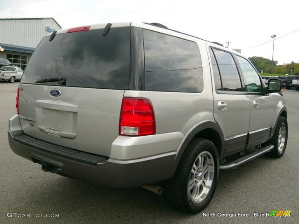 2004 Expedition XLT - Silver Birch Metallic / Medium Flint Gray photo #5