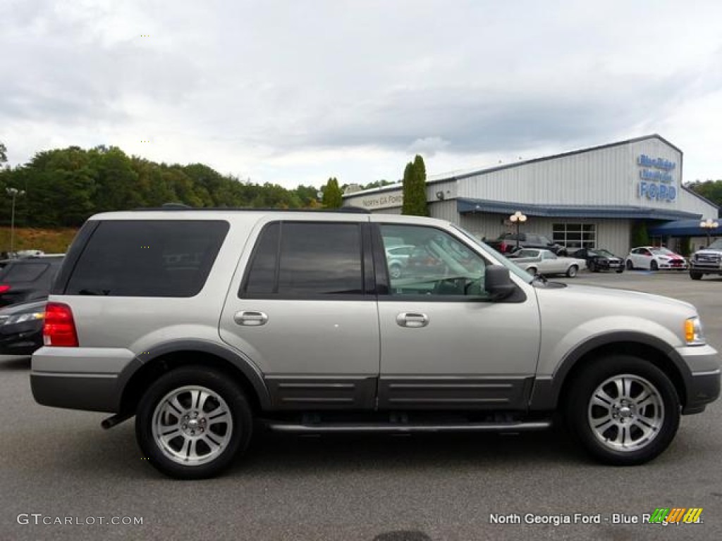 2004 Expedition XLT - Silver Birch Metallic / Medium Flint Gray photo #6