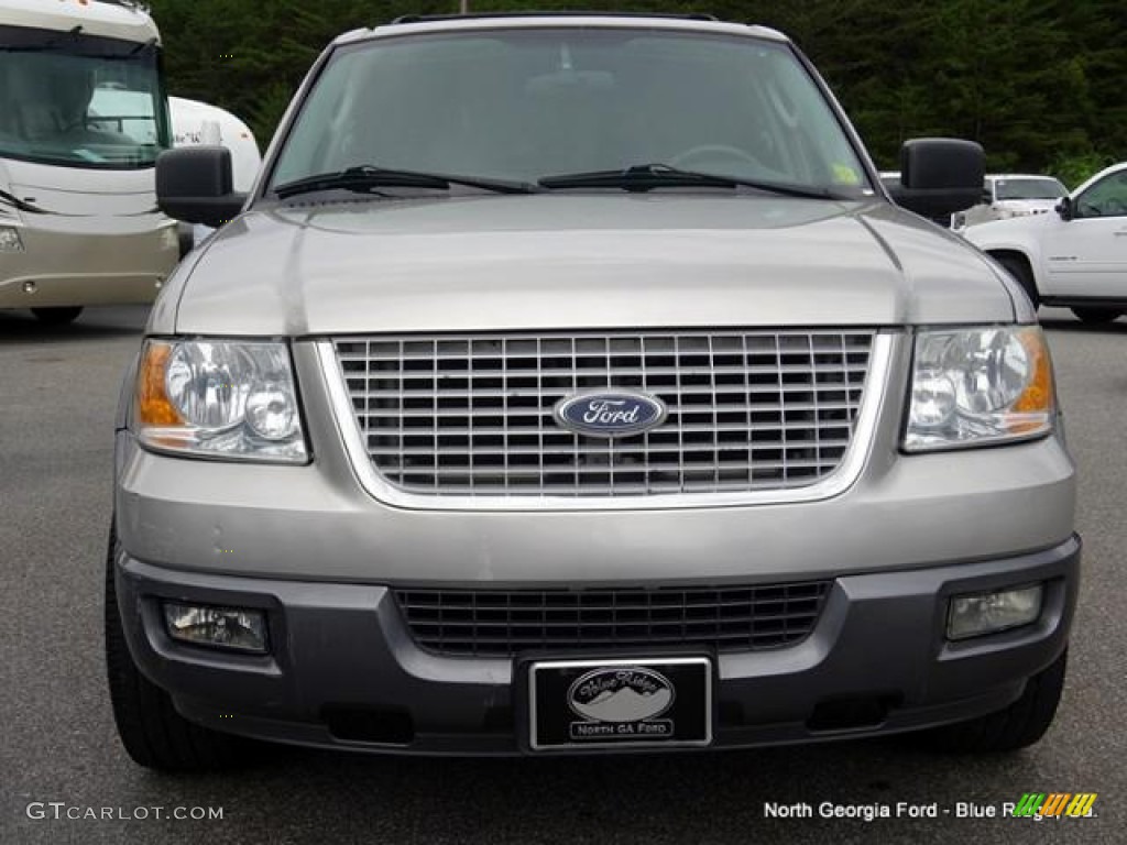2004 Expedition XLT - Silver Birch Metallic / Medium Flint Gray photo #8