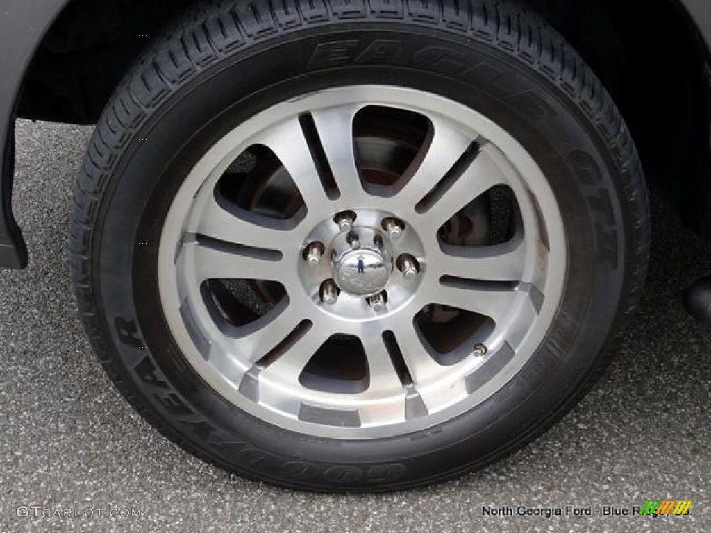 2004 Expedition XLT - Silver Birch Metallic / Medium Flint Gray photo #9