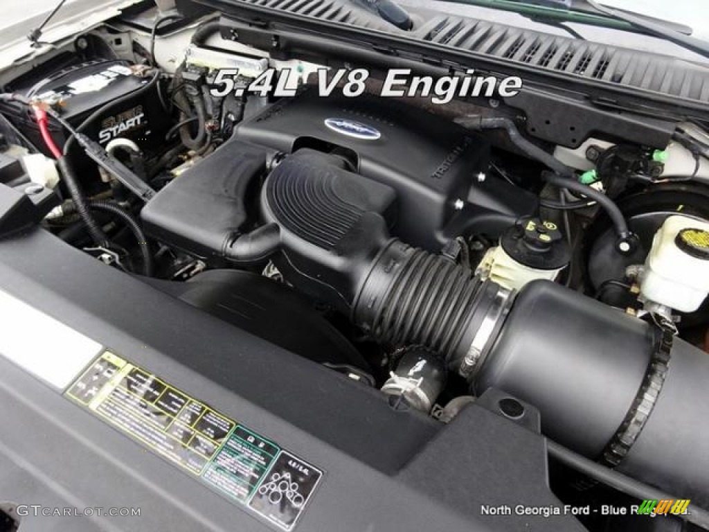 2004 Expedition XLT - Silver Birch Metallic / Medium Flint Gray photo #10