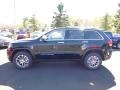 Black Forest Green Pearl - Grand Cherokee Limited 4x4 Photo No. 3