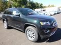 Black Forest Green Pearl - Grand Cherokee Limited 4x4 Photo No. 11