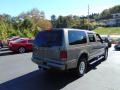 2005 Mineral Grey Metallic Ford Excursion Limited 4X4  photo #3