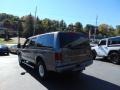 2005 Mineral Grey Metallic Ford Excursion Limited 4X4  photo #5