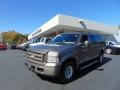 2005 Mineral Grey Metallic Ford Excursion Limited 4X4  photo #7