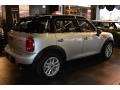 Crystal Silver Metallic - Countryman Cooper Photo No. 5