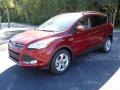 2016 Ruby Red Metallic Ford Escape SE  photo #10