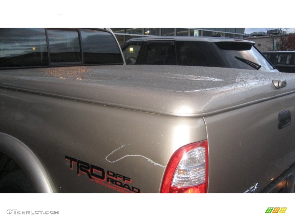 2005 Tundra SR5 Access Cab 4x4 - Desert Sand Mica / Taupe photo #3