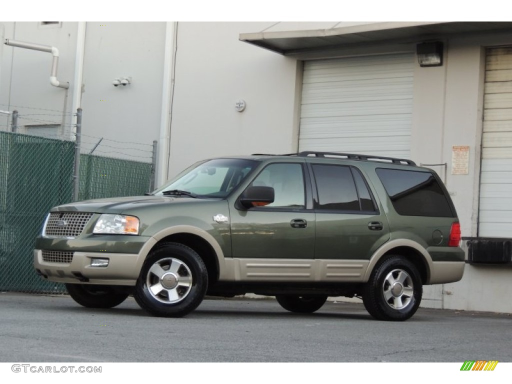 2006 Expedition Eddie Bauer 4x4 - Estate Green Metallic / Medium Parchment photo #2