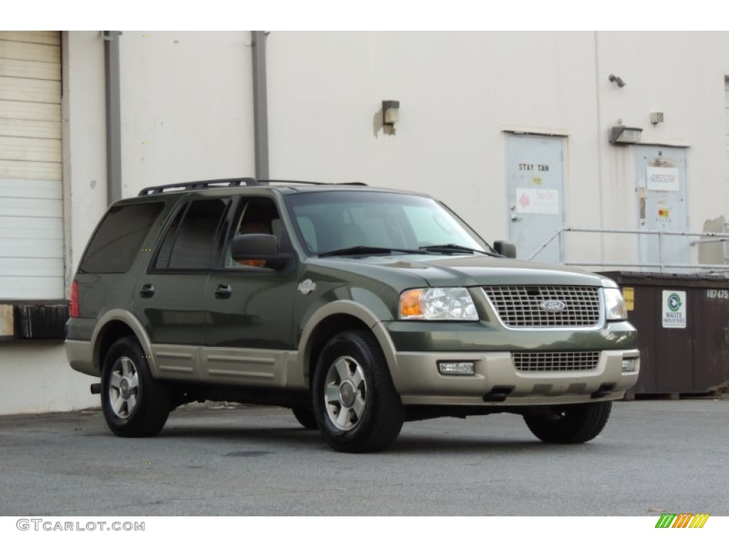 2006 Expedition Eddie Bauer 4x4 - Estate Green Metallic / Medium Parchment photo #3