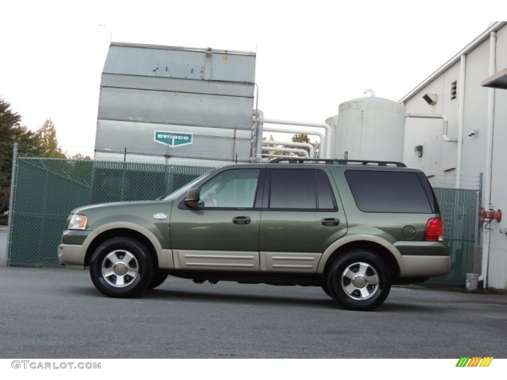 Estate Green Metallic 2006 Ford Expedition Eddie Bauer 4x4 Exterior Photo #107930323