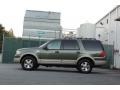 Estate Green Metallic 2006 Ford Expedition Eddie Bauer 4x4 Exterior