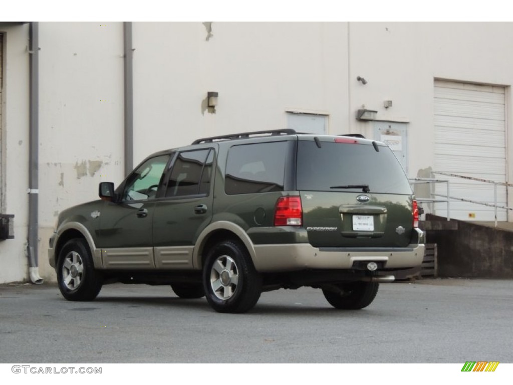 2006 Expedition Eddie Bauer 4x4 - Estate Green Metallic / Medium Parchment photo #6