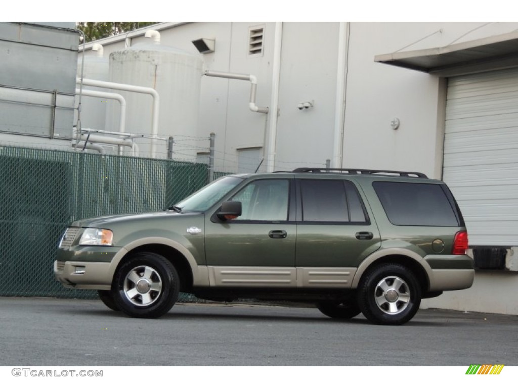2006 Expedition Eddie Bauer 4x4 - Estate Green Metallic / Medium Parchment photo #9